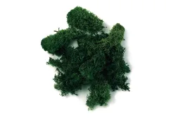 Rayher Islandmoos | 30 g