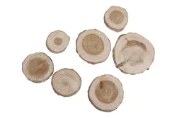 Rayher Pinien-Scheiben Rund | 3-5 cm | 100 g