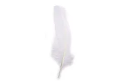 Rayher Gänsefedern Weiss | 16-20 cm | 8 Stück