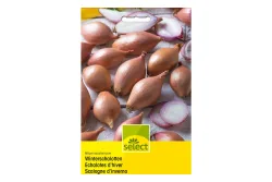 Select Schalotten | 250 g