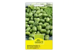 Select Mexikanische Mini-Gurke Olé