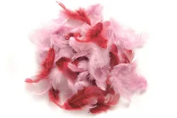Glorex Deco-Federn Rosa | 2 g | 30 Stück