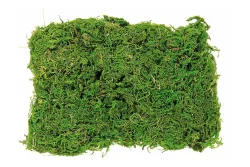 Glorex Moos Beutel | 50 g