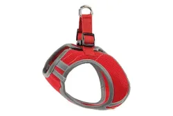 swisspet Geschirr Tp1, L, rot