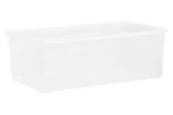 Rotho Aufbewahrungsbox Clear Lady Shoe | 11 × 19.5 × 33.5 cm | 5 l