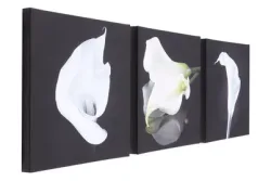 Canvas Set 3x 30x30 Calla Lilies