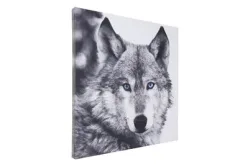 Canvas 65x65 Loup