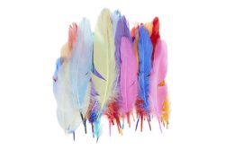 Glorex Dekofedern Bunt | 13-15 cm | 4 Stück