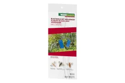 Blautafeln mit Aufhänger