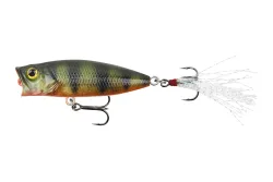 Stucki Fanatics Bubble Perch | 5.5 cm