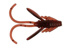 Red Eye Shrimp | 2.5 cm | 10 pcs