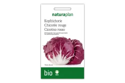Naturaplan Bio-Kopfzichorie Palla Rossa
