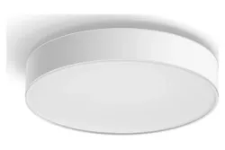 Philips Hue Deckenleuchte 
