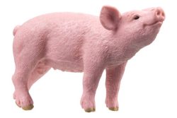 Schleich - 13934 Ferkel, Multicolor