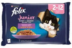 Felix Junior So gut wie Katzenfutter in Gelee assortiert 4x85g