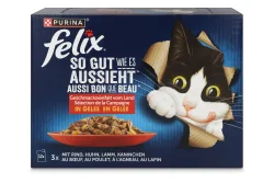 Felix so gut wie Katzenfutter in Gelee Fleisch 12x85g