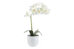 Mica Kunstpflanze Phalaenopsis Weiss im Topf | 60 × 16 cm