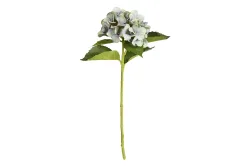 Mica Hortensie Blau | 51 cm