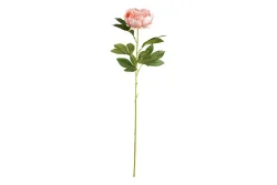 Mica Künstliche Pfingstrose Pfirsich | 76 cm