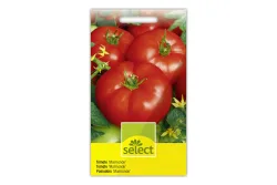 Select Tomaten Marmande