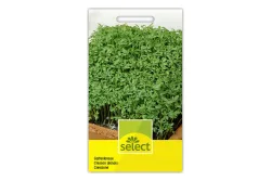 Select Gartenkresse einfach
