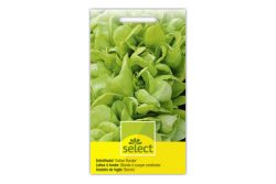 SELECT Schnittsalat