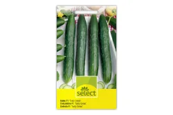 Select Freilandsalatgurke