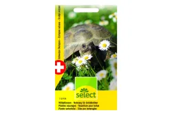 Select Wildpflanzen und Kräuter