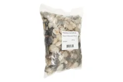 Flusskiesel | 4 l | 3.6 kg
