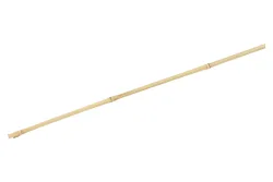 Pflanzenstab Bambus | 180 cm