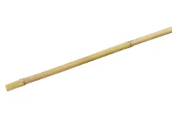 Pflanzenstab Bambus | 210 cm