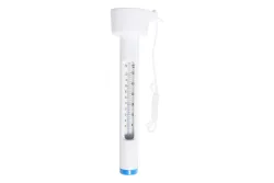 Colibri Planet Pool Poolthermometer