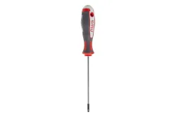 NWS Torx-Schraubendreher mit Bitantrieb