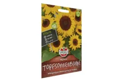 Sperli Topfsonnenblume Big Smile