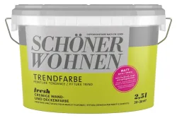 Schöner Wohnen Farbige Dispersion Trendfarbe | 2.5 l