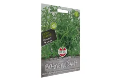 Bohnenkraut
