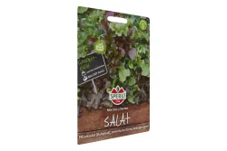 Sperli Mini-Salat Veronas Mix