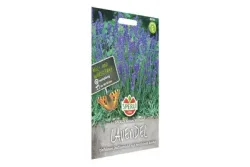 Sperli Lavendel Blaues Wunder
