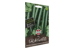 Sperli Salatgurke Bella