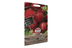 Sperli Rote Kugel Rote Rüben