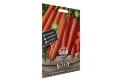 Sperli Möhren Rotin