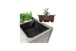 Biohort Pflanzeinsatz zu Pflanzbeet Belvedere (3St.)