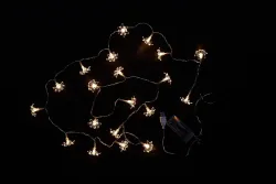Acrylblumenkette transparent 20 LED