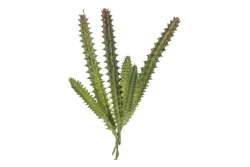 Glorex Hylocereus Undatus Kunstpflanze | 15 cm