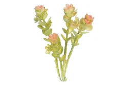 Glorex Caryophyllaceae Kunstpflanze | 16 cm