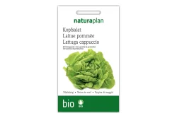 Naturaplan Bio-Kopfsalat Maikönig