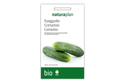 Naturaplan Bio-Essiggurke von Paris