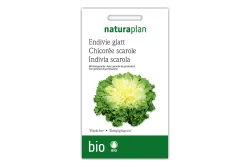 Naturaplan Bio-Endivie Ysbrächer