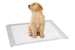 SwissPet Puppy Pads M 15 Stück