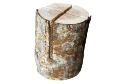 Innovesta Finnenkerze Fichte | H 25 cm | Ø 18-24 cm